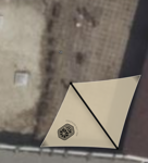 Reference Image